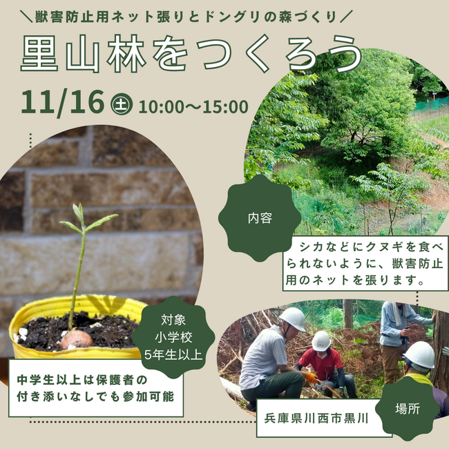 里山林をつくろう～獣害防止用ネット張りとドングリの森づくり～＜兵庫県川西市＞