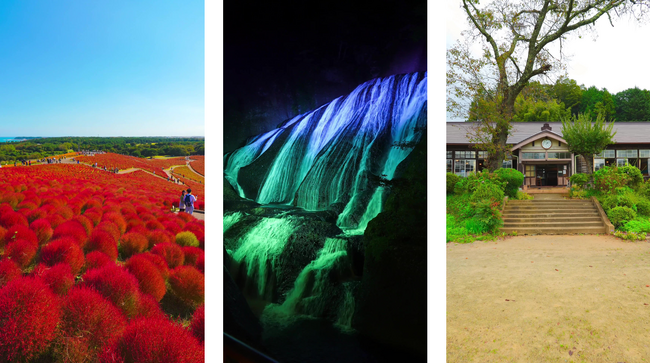 TikTok、茨城県と連携のもと、県の魅力発信キャンペーンを10月23日から実施。秋の紅葉や花絶景などの県内おすすめスポットを紹介！