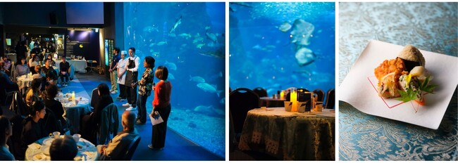 Chefs for the Blueが、新江ノ島水族館と未来へつながるディナーイベント【Bistroえのすい】を共催