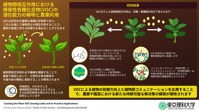 植物における匂い(VOC)の作用と認識メカニズムに迫る ～環境にやさしく持続可能な農業・園芸技術の実現に大きく貢献～