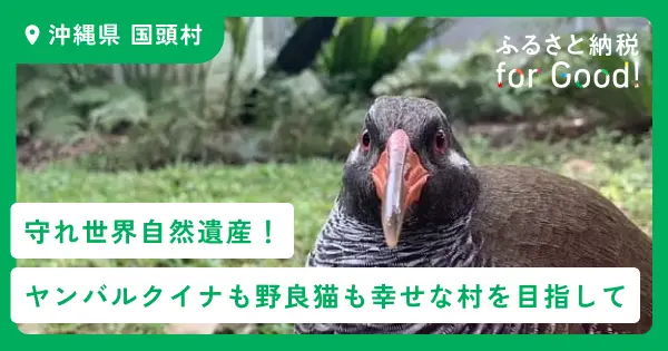 ふるさと納税forGood、沖縄県国頭村の「守れ世界自然遺産！ヤンバルクイナも野良猫も幸せな村を目指して」寄付受付開始