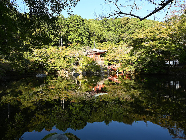 京都・醍醐寺の魅力を徹底解説！「GO KYOTO」が新たな特集記事を公開