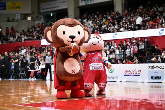 熊本ヴォルターズ開幕戦 B1昇格へラストチャンス！セルモから今年も熱い声援を送ります！