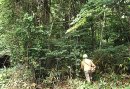 1986年整備前の北エリア入り口 1986年整備前の北エリア入り口