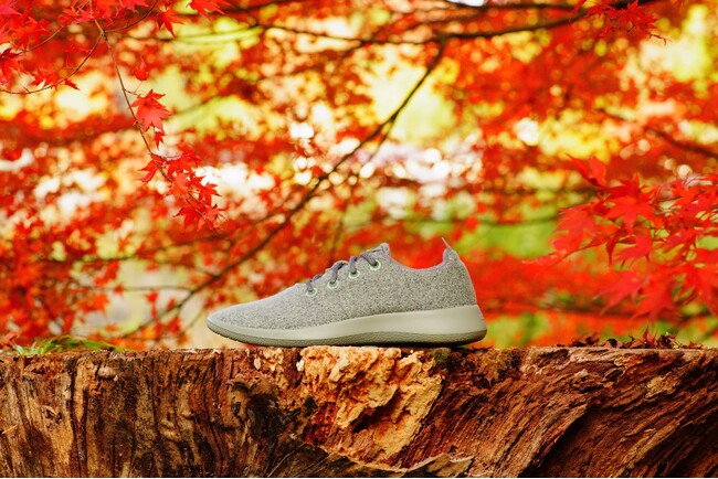 肌寒い季節に最適なシューズ「Allbirds」が 名古屋に初上陸！