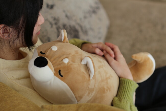 【ぬいぐるみ + 湯たんぽ】大きくてかわいい蓄熱式湯たんぽに新しく猫が登場！