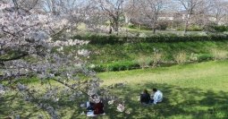 【麻布大学】「大学生と一緒にデジタル技術で」シリーズ第2弾 県立公園の自然をきっかけに世界中の愛好家と盛り上がろう! -麻布大学×神奈川県公園協会×サカタのタネGS 市民参加型ワークショップ開催のご案内-