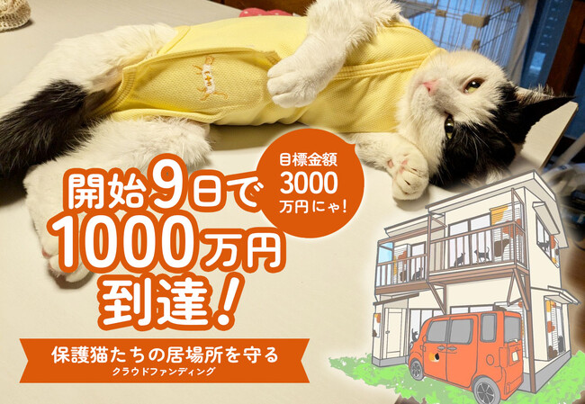 猫助けクラファン9日で1000万円到達！保護猫たちを永続的に守るために、目標金額3000万円まで邁進中！都内に中古一軒家を購入改装し、猫助けを加速するクラウドファンディング