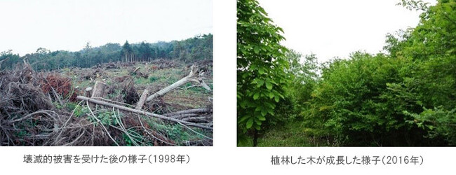 富士山「まなびの森」 環境省「自然共生サイト」に認定～住友林業で2か所目・自然林再生活動を評価～