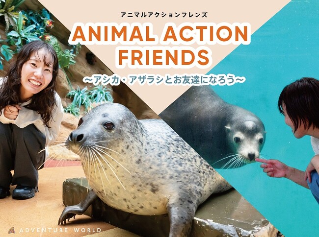 アザラシにお魚をあげよう!ゼロ距離体験!「アニマルアクションフレンズ~アシカ・アザラシとお友達になろう~」2024年11月2日(土)からスタート