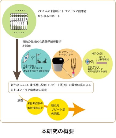 塩基の新規繰り返しの異常伸長による脳症を同定