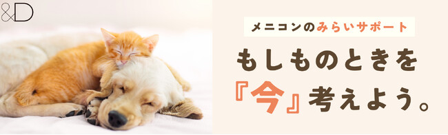 愛猫の終生飼養をスタート！　メニコン「&D」 飼い主の「もしもの時」の終生飼養サービスリニューアル