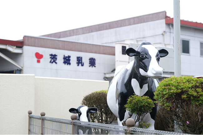 茨城乳業　食品安全マネジメントシステムの国際規格「FSSC 22000（バージョン6.0）」の認証を取得しました
