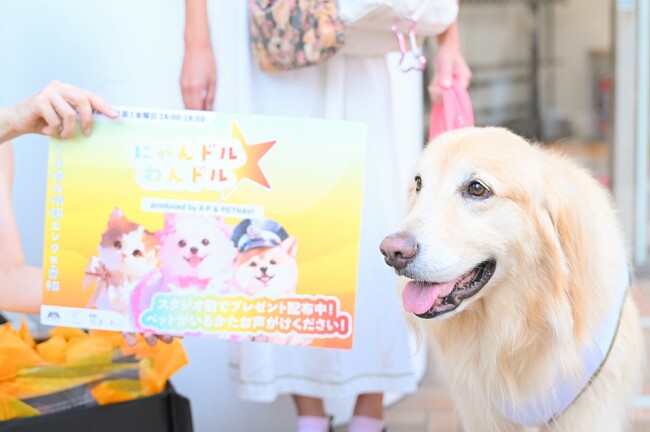 11月1日は「わんわんありがとうの日」。渋谷にわんちゃん、猫ちゃんが大集合！ペットが主役のラジオ番組『にゃんドル☆わんドル produced by 8-P & PETNAVI』第6回 放送決定！