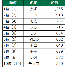 第20回　犬の名前ランキング2024発表！