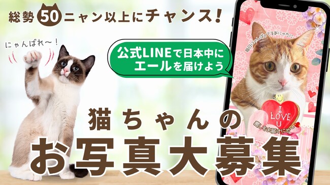うちの子が全国デビュー?!猫ぐらしブランドの公式LINE企画で