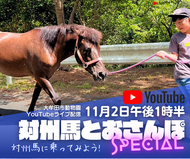 【福岡県大牟田市】大牟田市動物園　YouTubeライブ配信！対州馬とおさんぽスペシャル開催！