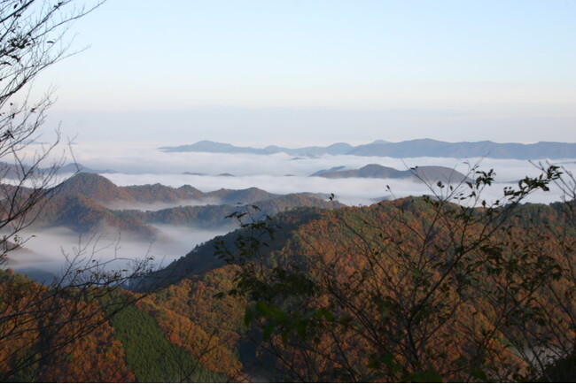 【兵庫】知る人ぞ知る秋の絶景登山　日帰りで楽しめる丹波の名山