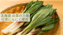 山菜の王様 行者にんにく 山菜の王様 行者にんにく