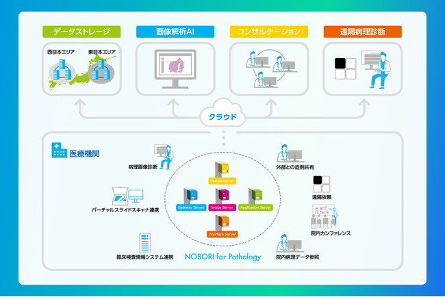 病理分野向けクラウドソリューションの販売開始【メドメイン株式会社】