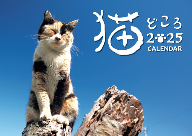 表紙は、九州・玄界灘の離島で出会った三毛猫　10年目の「猫どころカレンダー」販売