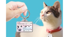 【迷子・防災対策】愛猫用IDカード型グッズ「マイニャンバー迷子札」をリニューアル! 【迷子・防災対策】愛猫用IDカード型グッズ「マイニャンバー迷子札」をリニューアル!