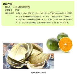 届出内容 詳細 届出内容 詳細