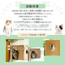 活動内容 活動内容