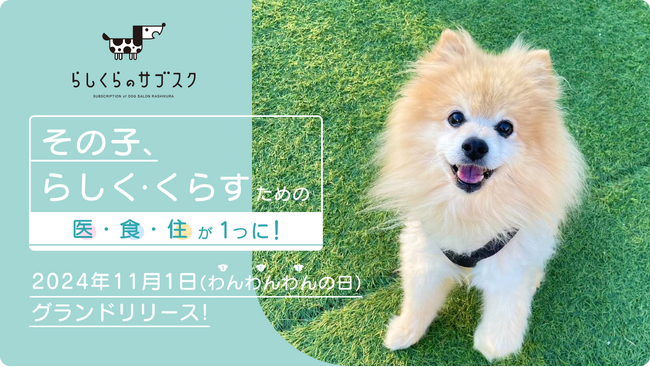 松山発!愛犬家必見の定額サービス「らしくらのサブスク」がサービス開始