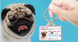 【迷子・防災対策】愛犬用IDカード型グッズ「マイワンバー迷子札」をリニューアル! 【迷子・防災対策】愛犬用IDカード型グッズ「マイワンバー迷子札」をリニューアル!