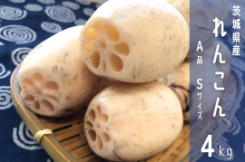 茨城県産れんこん 茨城県産れんこん