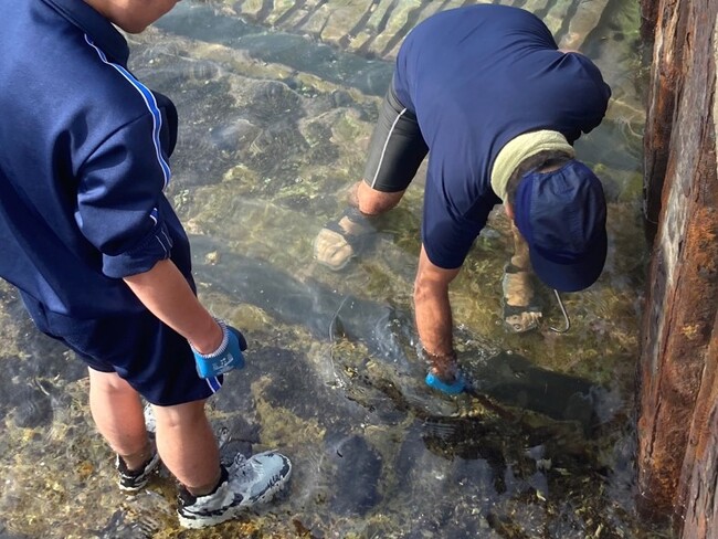 鳥取県長和瀬漁港にて青谷高校の学生がウニ駆除と試食を実施!
