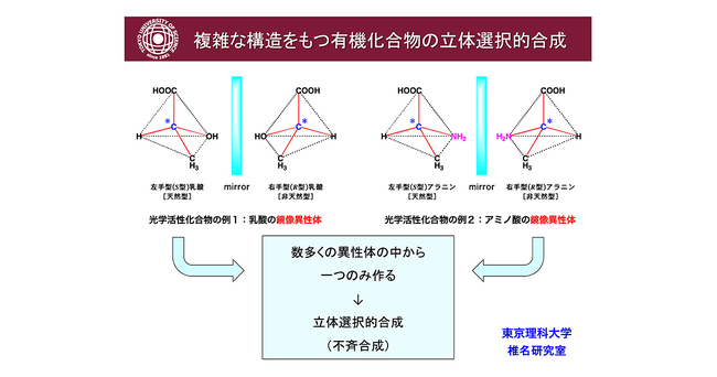 抗がん剤開発に関するプロジェクトが科学技術振興機構（JST）2024年度ディープテック・スタートアップ国際展開プログラム（D-Global）に採択
