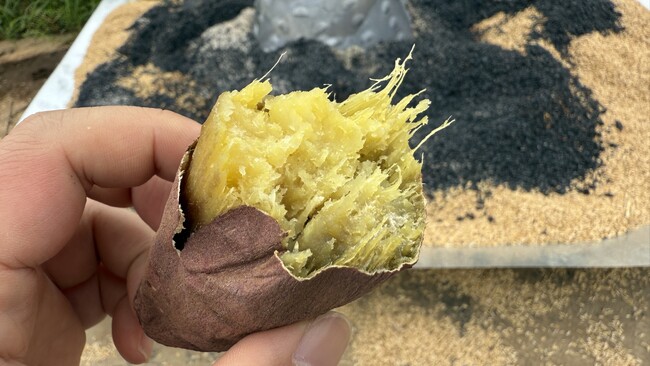 茨城県結城市の金属製品製造業「ヤマナカ」が手掛ける農業イベント第三弾！「アッシーリス さつまいもフェスタ！～ほって、焼いて、味わう～」を11月17日（日）に開催！