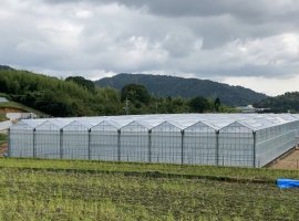 完成新ハウス1 完成新ハウス1