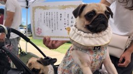 ▲過去に開催されたイベントの様子 ▲過去に開催されたイベントの様子