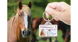 愛馬用IDカード型グッズ「ウマナンバー迷子札」をリニューアル! 愛馬用IDカード型グッズ「ウマナンバー迷子札」をリニューアル!