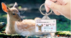 愛鹿用IDカード型グッズ「シカナンバー迷子札」をリニューアル！
