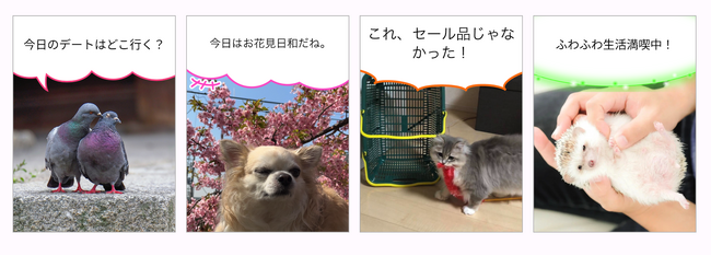 「ペットの気持ちAI」は、カラフルで可愛い吹き出しを選択できるようになりました。