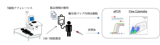 再発又は難治性B細胞リンパ腫に対するCD19抗原標的CAR-T細胞輸注後、本邦に多く発症する喉頭浮腫の予測因子の解明