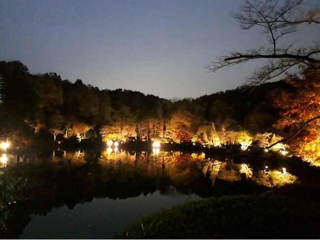 【東京・多摩】11月も各所で開催！紅葉まつり、ライトアップ、フォトコン、食べ歩きラリー、多摩でイベント巡りを楽しもう！