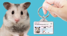 愛鼠用IDカード型グッズ「ハムナンバー迷子札」をリニューアル! 愛鼠用IDカード型グッズ「ハムナンバー迷子札」をリニューアル!
