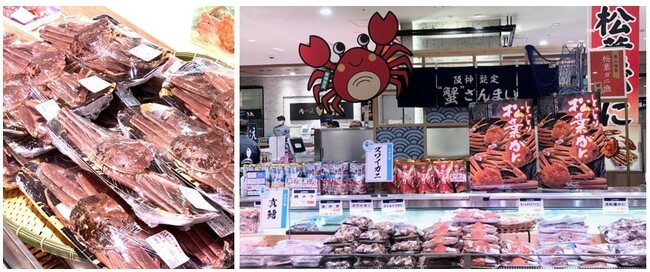 【阪神梅田本店】”理由(わけ)あり松葉ガニ”が本年初入荷しました!
