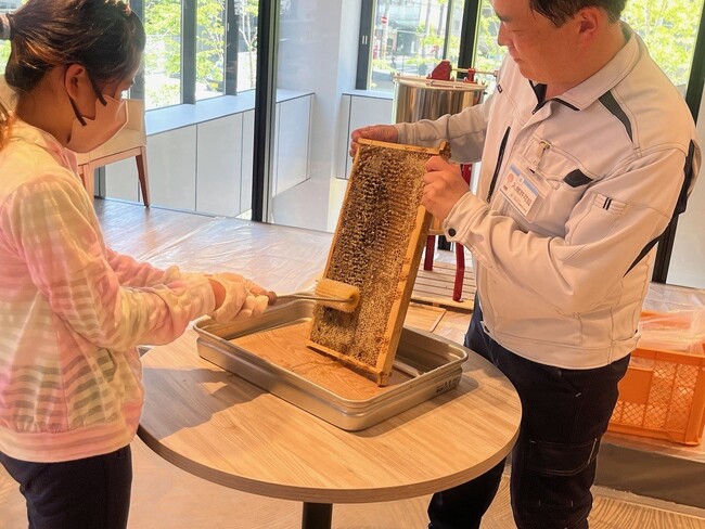 都市養蜂と自然の恵みを楽しむ!「秋の採蜜体験 ハニーナッツを作ろう」