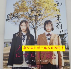 映画「ノルマル17歳。」パンフレット 映画「ノルマル17歳。」パンフレット