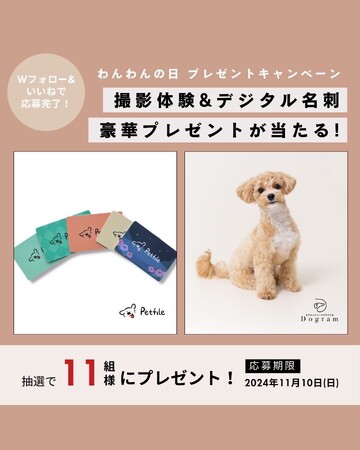 【11月1日は犬の日！】株式会社LOOTaDOG Japanは、愛犬家のための犬専門写真館Dogramと共同で、「わんわんの日キャンペーン」を開催いたします。