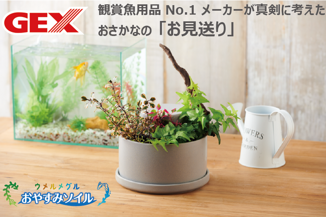 アクアリウム用品シェアNo.1*メーカーが真剣に考えたおさかなの「お見送り」　ウメルメグル”おやすみソイル”を新発売????（2024年11月15日（金）メーカー出荷開始）