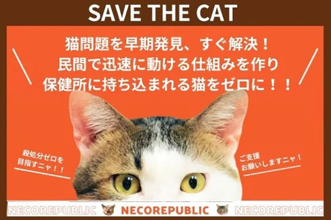 ふるさと納税で猫助け！猫問題を早期発見、すぐ解決！民間で迅速に動ける仕組みを作り、保健所に持ち込まれる猫をゼロに！ガバメントクラウドファンディングスタート