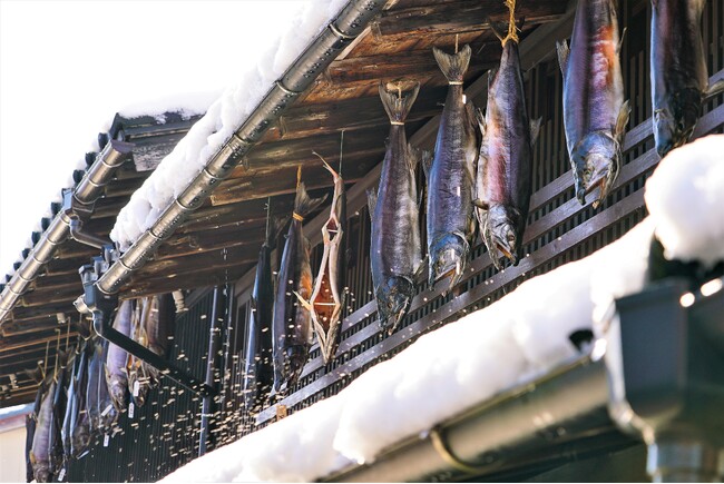 鮭のまち村上に、新たな増殖・加工・販売施設が完成！ 鮭が各家の軒下に吊るされる「越後村上鮭塩引き街道」も開催
