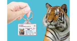 愛虎用IDカード型グッズ「トラナンバー迷子札」をリニューアル! 愛虎用IDカード型グッズ「トラナンバー迷子札」をリニューアル!